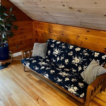 Bright And Cozy Treehouse Apartment Burlington Esterno foto